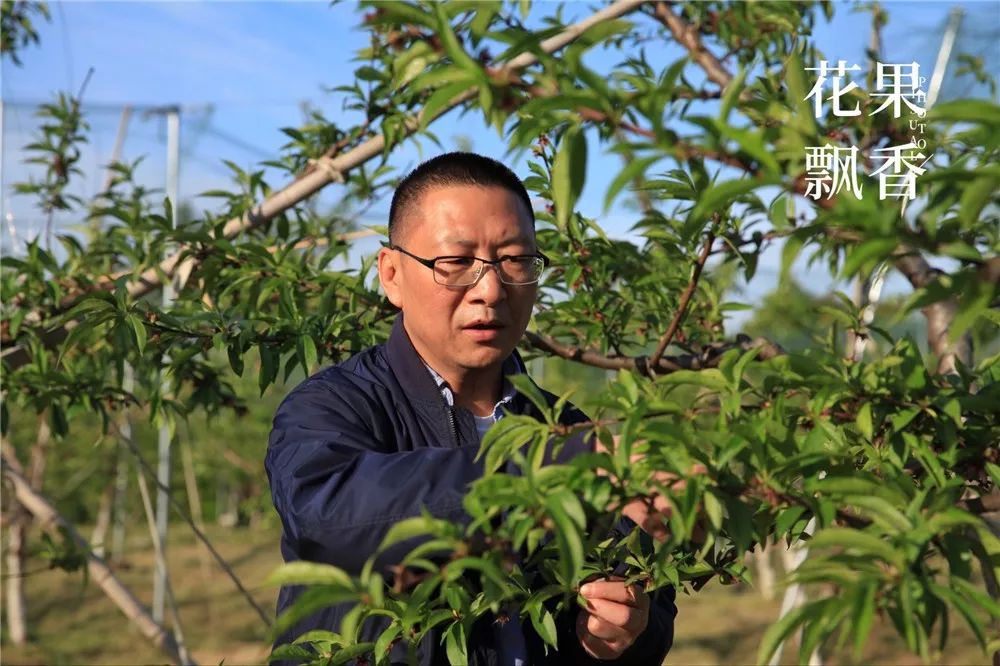 哼哈匠董事长_哼哈姐妹照片