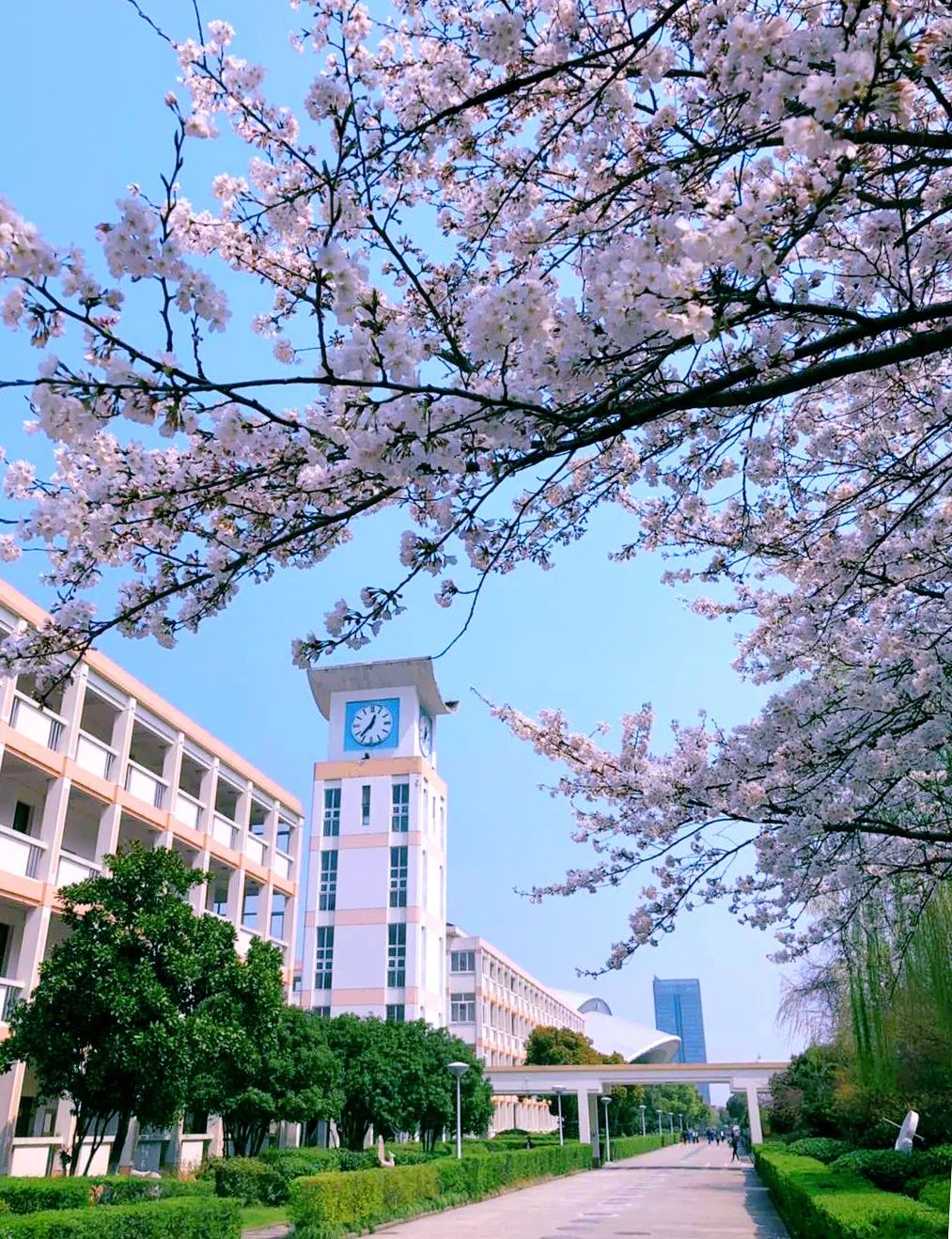 浙江省余姚市实验学校2019年秋季小学招生简章