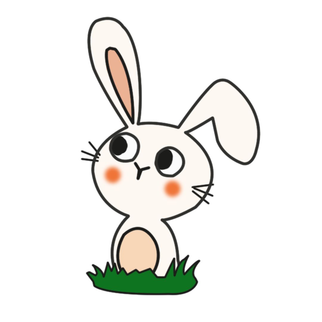 本周主题物——兔子(rabbit)