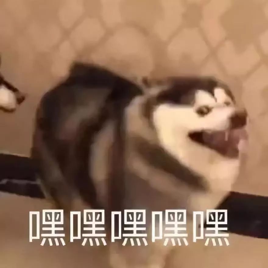 cda67059db984d2d8b81db66d5be46e3.jpeg