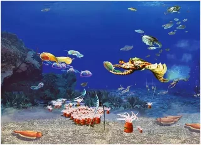 寒武纪生命大爆发之谜 ce45690ec8664c99b122d806b4fe9332.jpeg