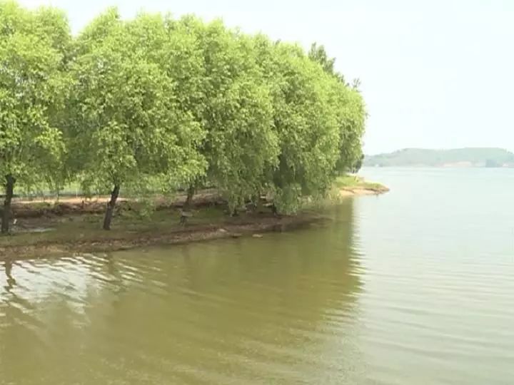 奋力谱写拥河发展的新篇章—龙山湖西龙堤顺应百姓呼声开启