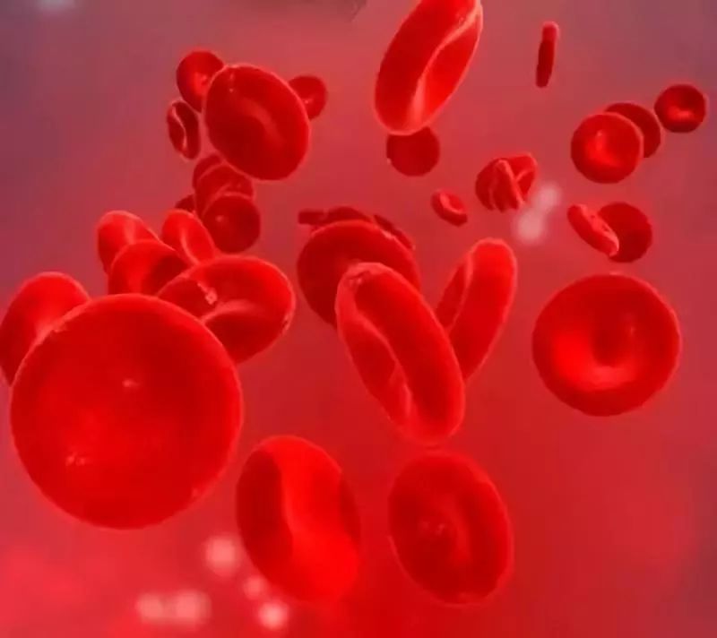 怎样快速有效治疗血栓 d40118b136a34e55b5db63eee62c6ecc.jpeg