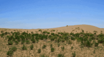 d634cb364e5444339a877152208282b6.gif