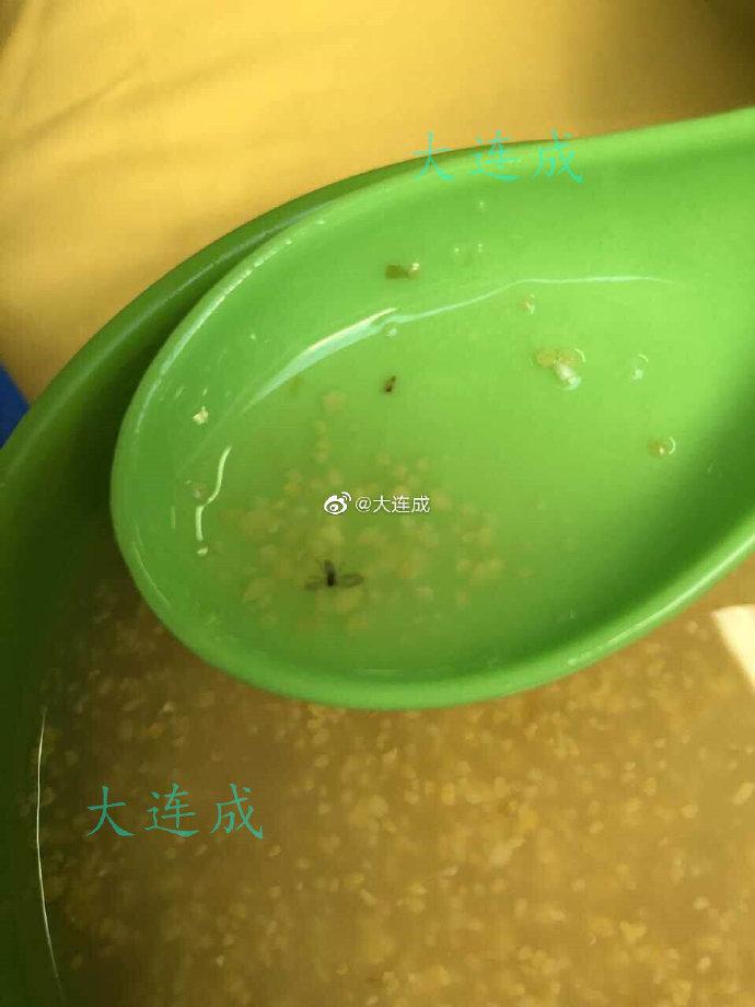 
卫生堪忧！大连艺术学院学生在食堂竟吃出虫子“一家三口”



