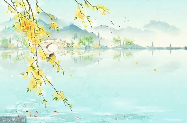成语什么芦花_芦花鞋是什么样子图片(2)
