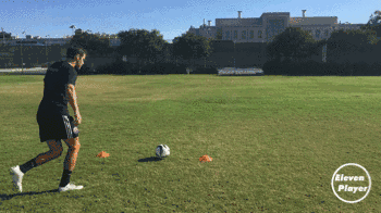 d937b9db2b93474aaeafedc65483dc61.gif