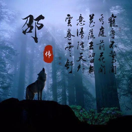 「头像」20张孤狼微信头像,姓氏头像,姓名头像