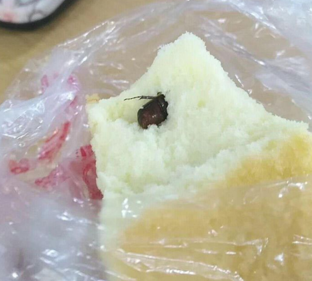 禁止外卖还关闭小卖部,海南大学被狂吐槽
禁止外卖还关闭小卖部,海南大学被狂吐槽