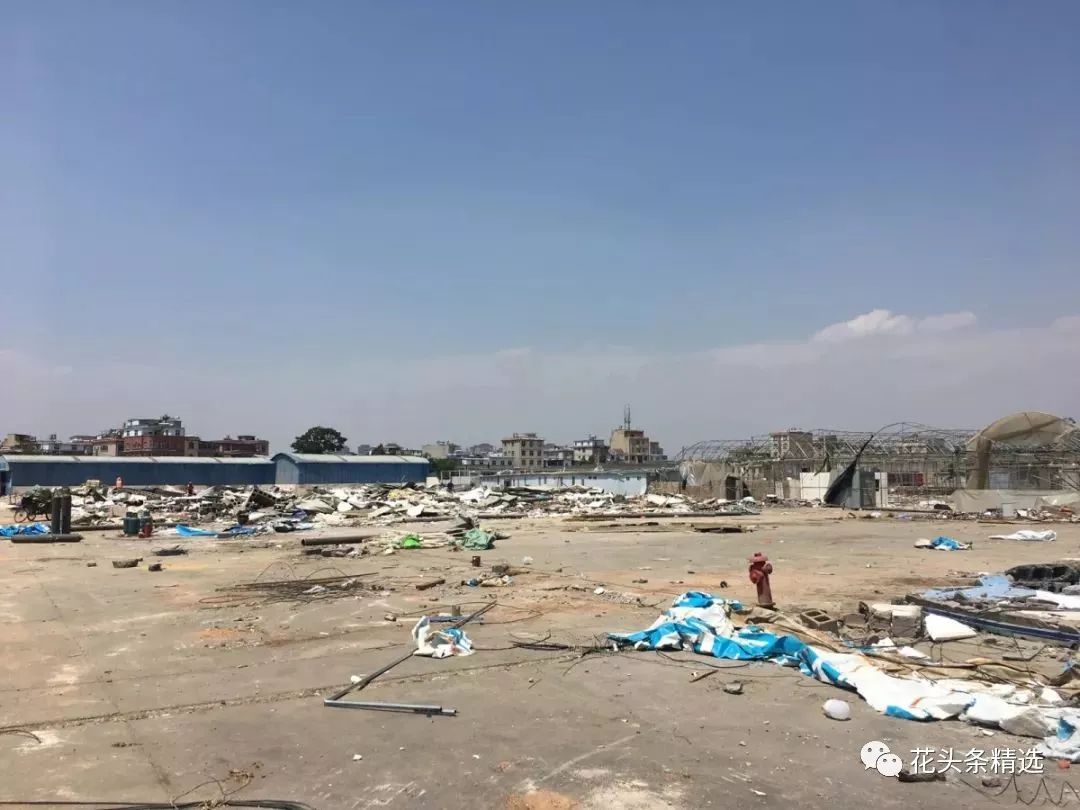 覆巢之下无完卵猜一成语_木猜一成语疯狂看图(2)