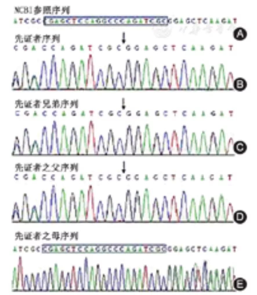 M系基因人口_传承红色基因手抄报(2)