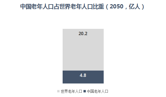 超大人口国家建设现代化_人口老龄化(3)