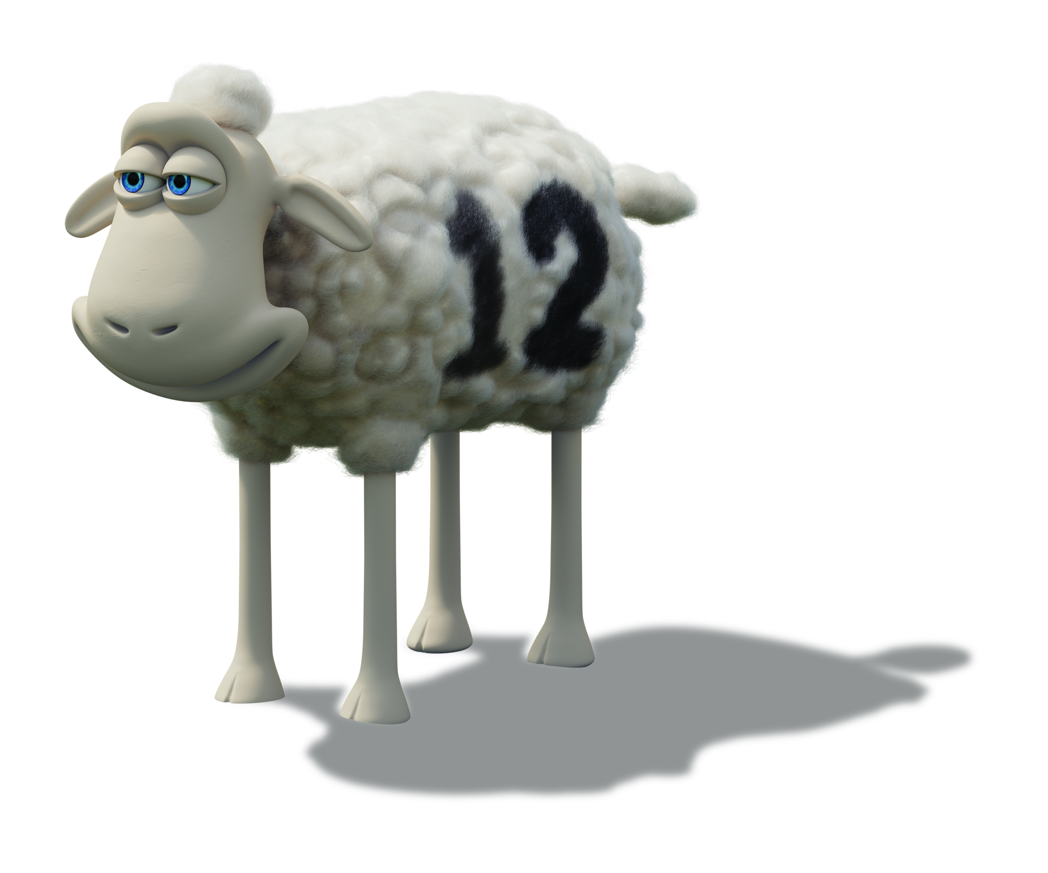 舒达羊:超萌的一群羊