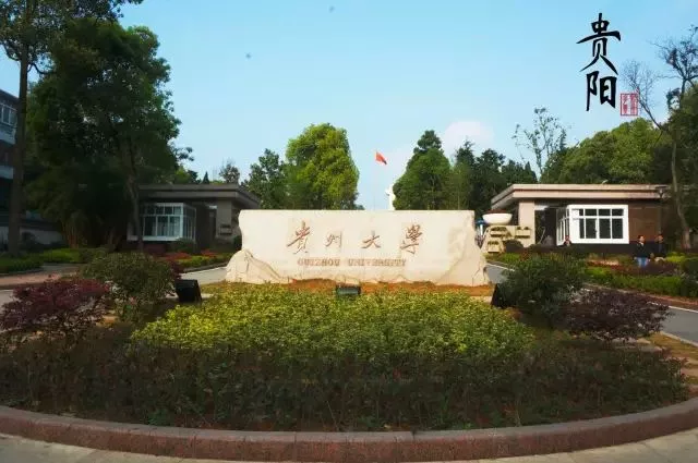 
一张图读懂：各省最有影响力的电气院校



