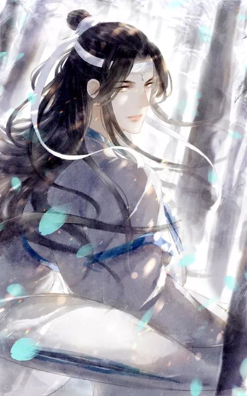 魔道祖师:蓝忘机同人图