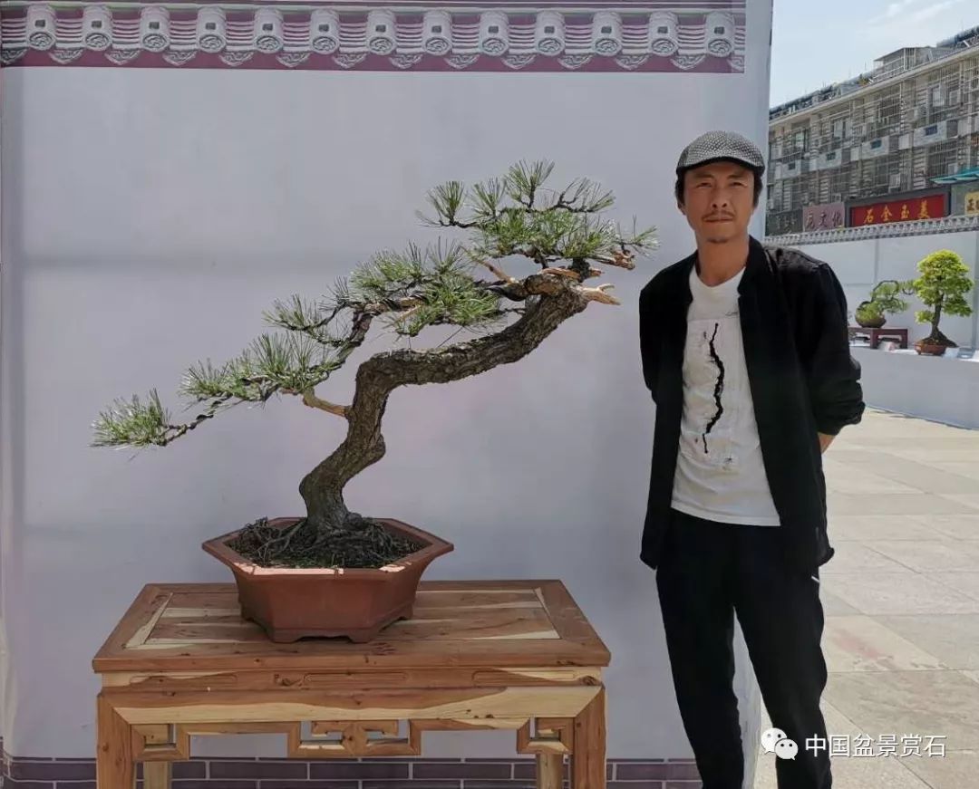 安徽省盆景艺术协会副会长白强先生,中国盆景高级作家,云南省盆景艺术