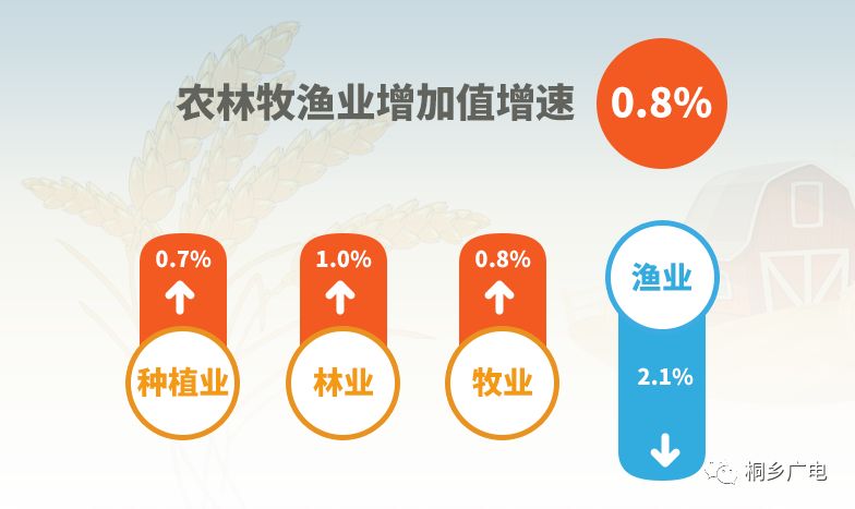 嘉兴2021年一季度GDP预测_GDP增速完全恢复 经济仍在上行中(2)