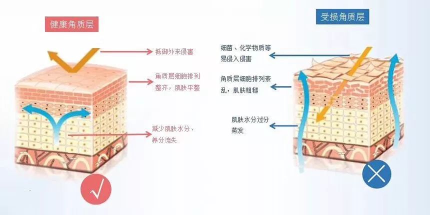 变成真正的肌肤炎症