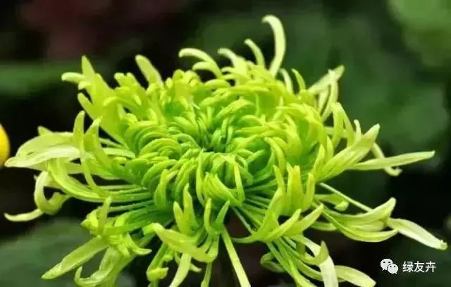f500c6eefb8a4c97913df8c5234939a6.jpeg