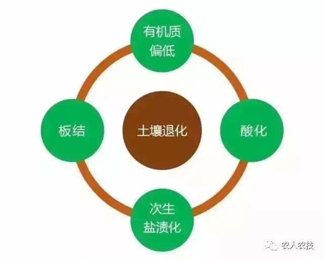 常见的耕地土壤病有以下10种据国家环保部2016年《全国土壤污染状况