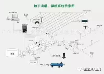 农民要养活多少人口_农民卡通图片