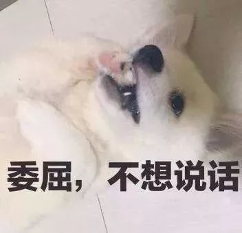 江苏连发多项教育利好新政:省钱+减负!丹阳家长,哪一条最走你心?
江苏连发多项教育利好新政:省钱+减负!丹阳家长,哪一条最走你心?