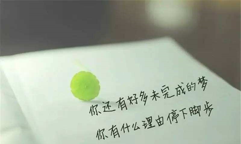 05b782e0e571421a8f388eb13283a923.jpeg