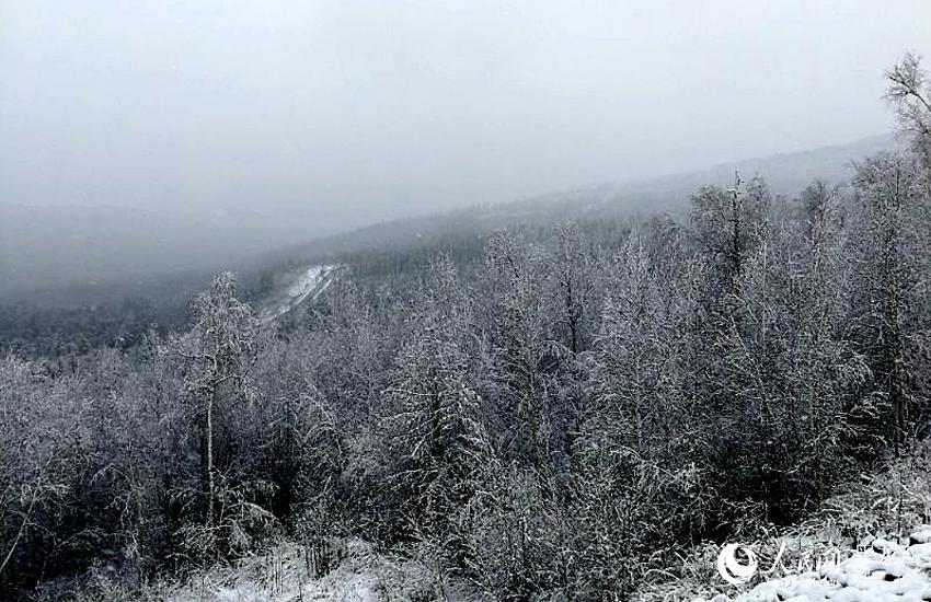 大興安嶺呼中區雨雪「齊上陣」 旅遊 第2張