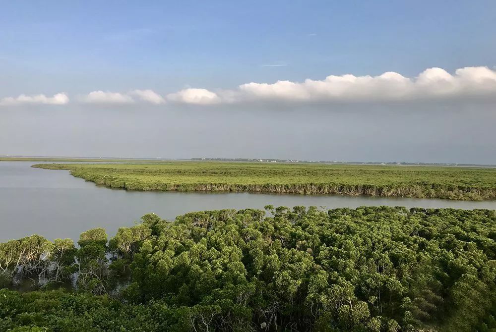 东寨港红树林景区地址:海口市东寨港至文昌市铺前镇一带开放时间:全天