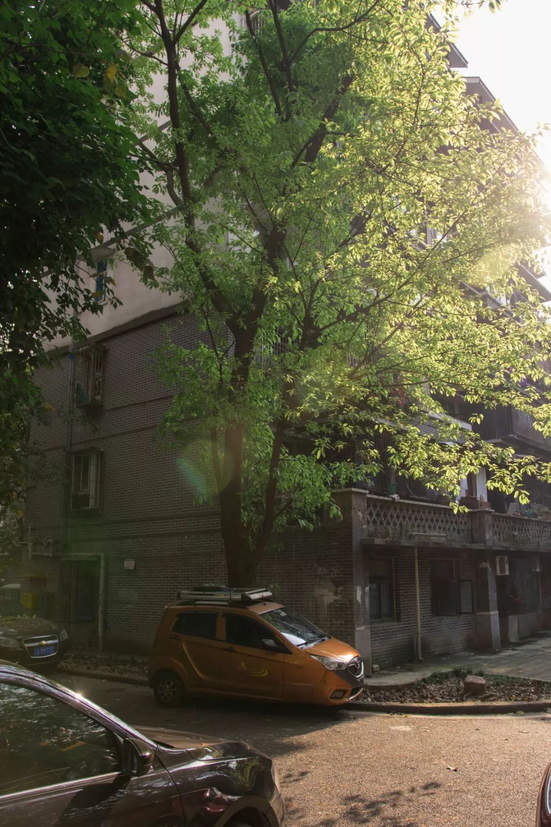 上海人,一起去重庆老街打个盹吗? 澳门网络真人赌博游戏