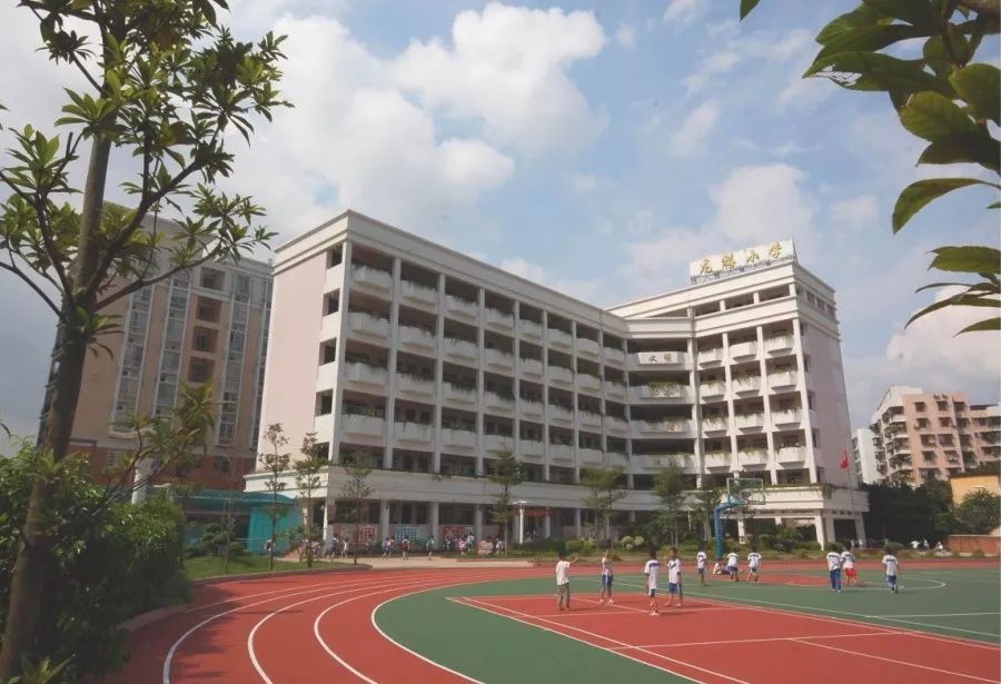 肇庆小学排名_肇庆龙禧小学(3)