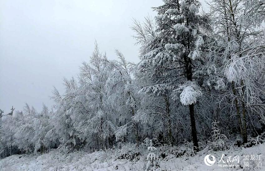 大興安嶺呼中區雨雪「齊上陣」 旅遊 第6張