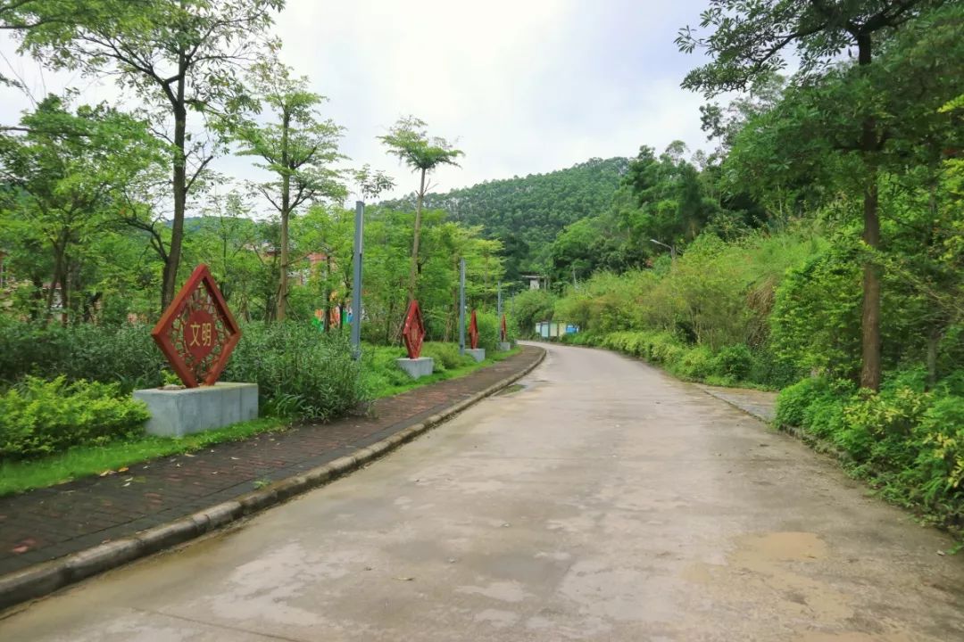 一条平坦,宽敞的水泥路沿着小公园延伸到旺田村村口,路旁种着各种绿化