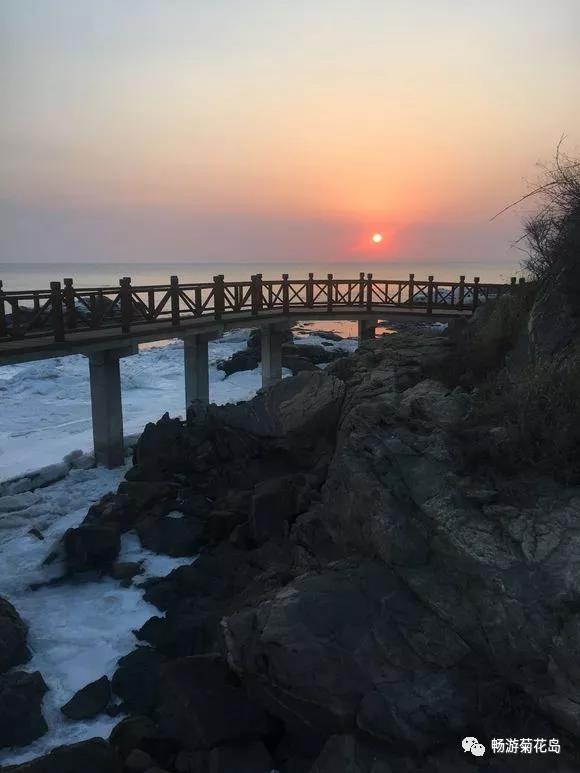 菊花岛旅游景点_菊花岛旅游_菊花岛旅游景点大全