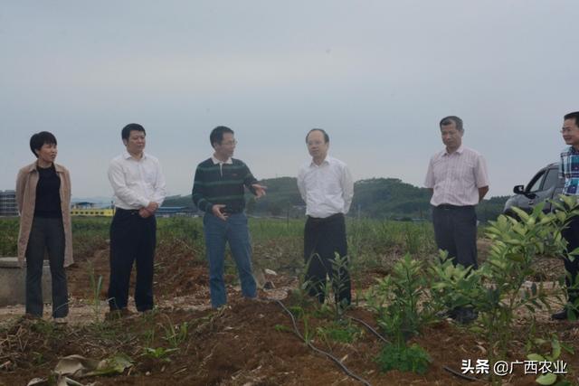 广西农业农村厅调研组到柳州种畜场开展扫黑除恶调研