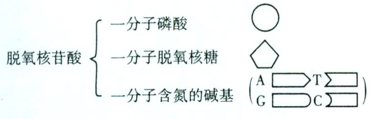 
2019洛阳三统各科试题及答案汇总附高中知识点


