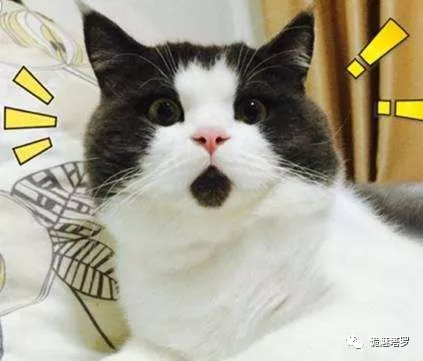 
原创
【开扒】不好意思，先付款，再帮你解决困难！


