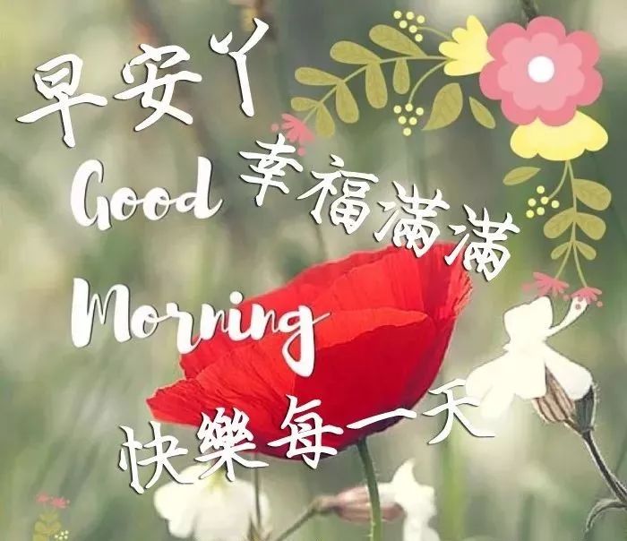 问候语简谱_早上好问候语图片(2)
