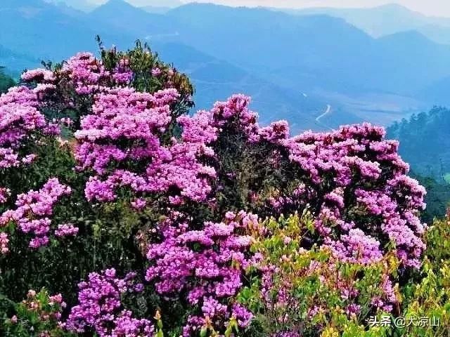 美丽盐源盐源县右所乡一个被遗忘的世外桃源