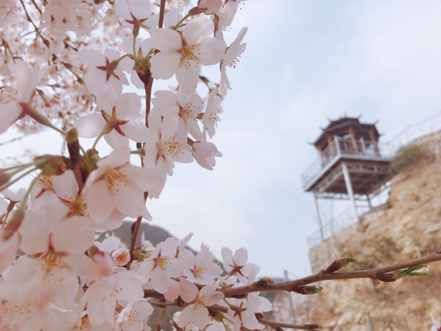 
原创
让孩子把写话当做一件快乐的事



