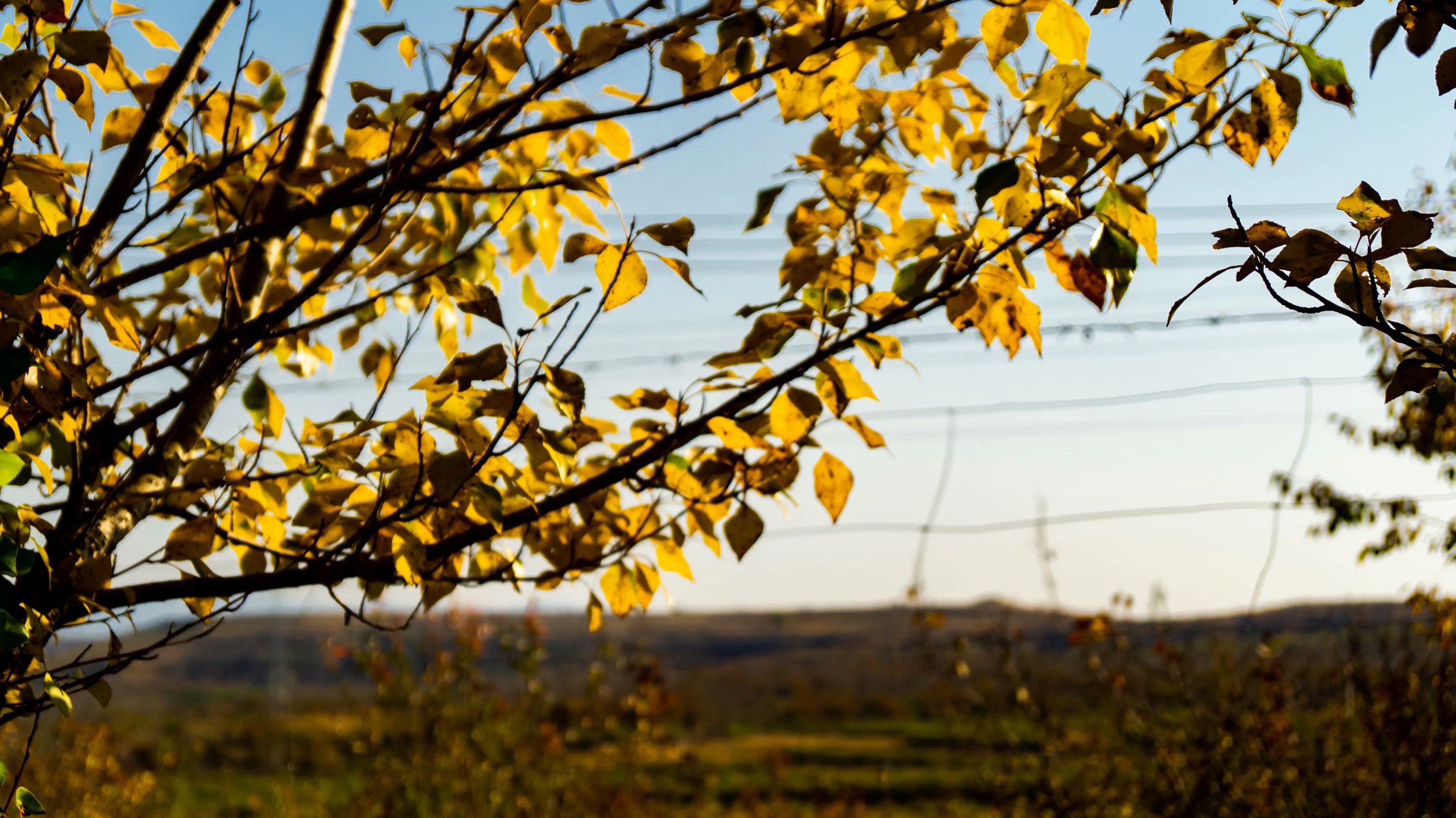 
2020考研，辽宁省性价比超高的985，211，你知道几所？


