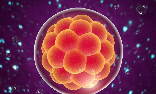 什么样的精子才能和卵子结合 3e106f8187fc4fd5a93ee9f2634fdd75.jpeg
