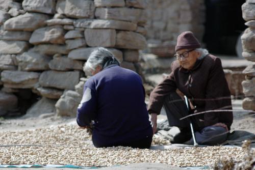 2019年农村老人迎来福利,只需满足这个条件,能领600元了 澳门皇家娱乐平台
