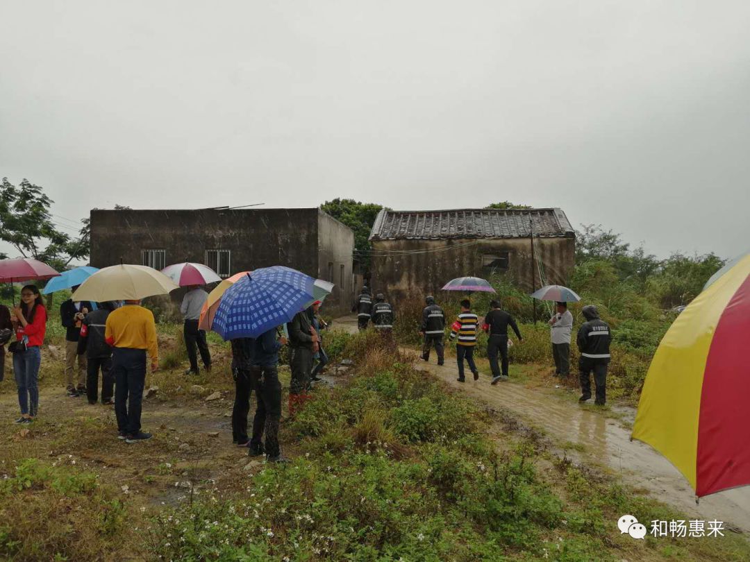 惠来某村收回土地约6亩