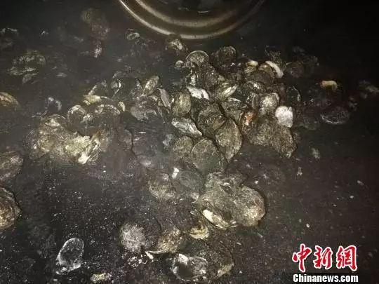 吃货的心好痛!玉铁高速一货车翻车,番石榴撒了一地! 澳门皇冠线上开户