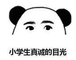 54aaf7f91bd945c881c2672c10e4600e.jpeg