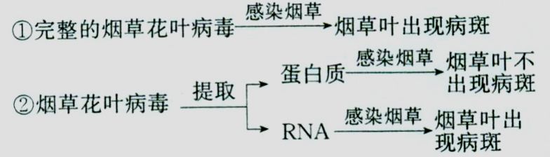 
2019洛阳三统各科试题及答案汇总附高中知识点


