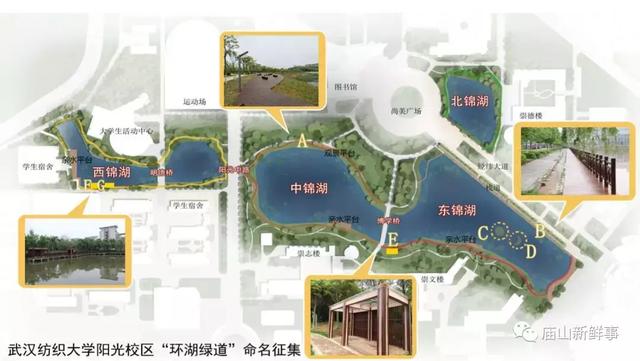 武汉江夏一高校建设的“环湖绿道”竣工在即!启动命名征集!
武汉江夏一高校建设的“环湖绿道”竣工在即!启动命名征集!
