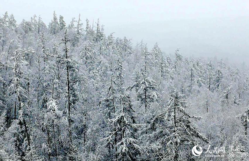 大興安嶺呼中區雨雪「齊上陣」 旅遊 第3張