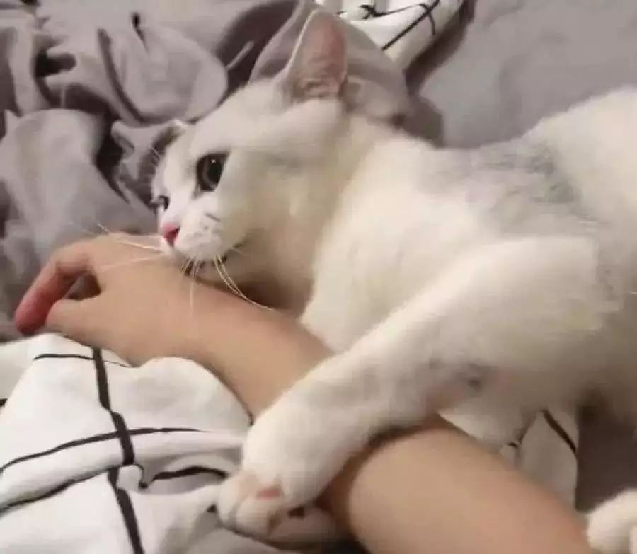 怎么样玩手机不头疼 60cb5a4c12b846d896bc3d72c311b177.jpeg